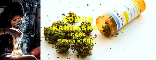 индика Осташков