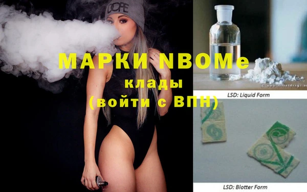 индика Осташков