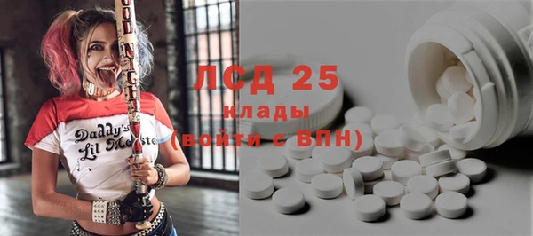 индика Осташков