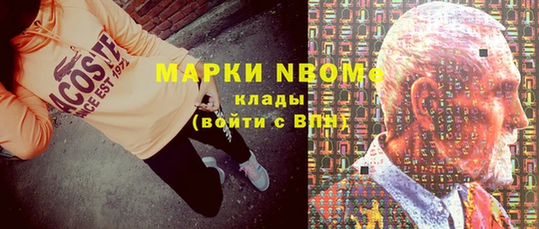 хмурый Ветлуга