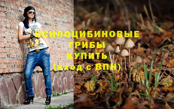 индика Осташков