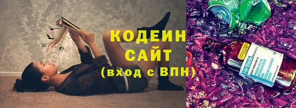 индика Осташков