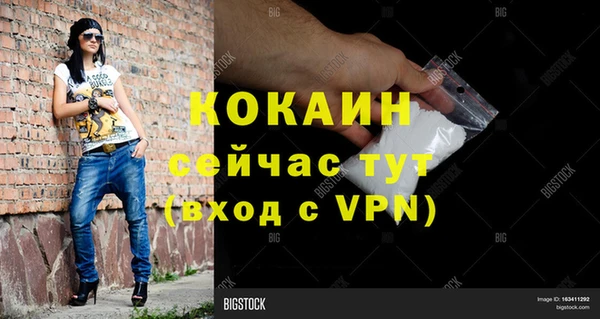 индика Осташков