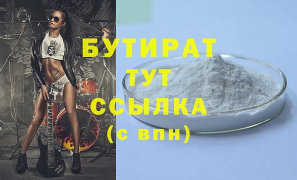 индика Осташков