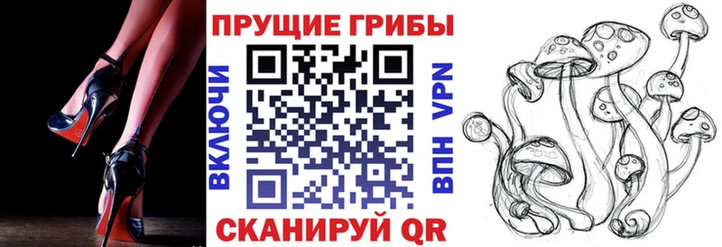 хочу   Соль-Илецк  Псилоцибиновые грибы GOLDEN TEACHER 