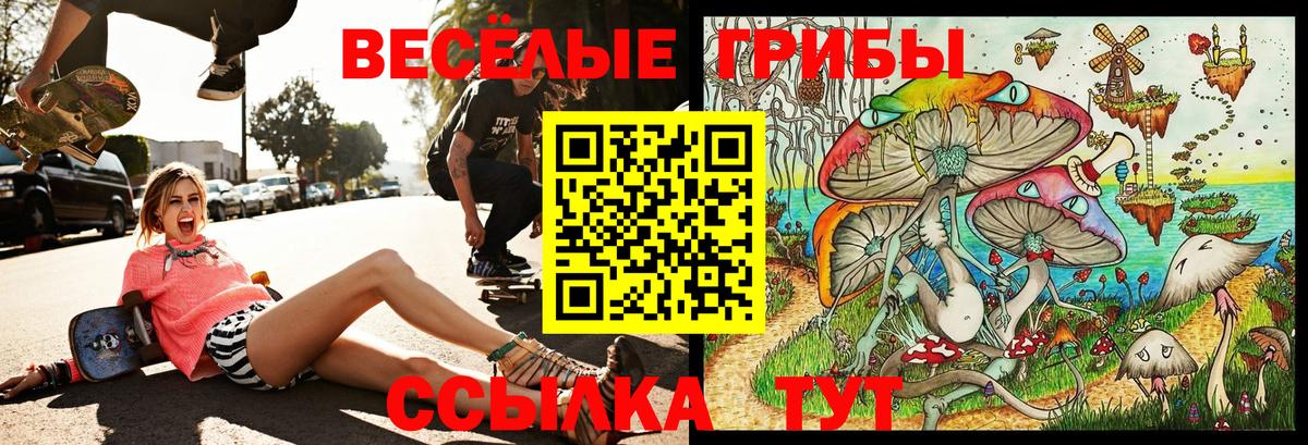 Соль-Илецк  Галлюциногенные грибы прущие грибы  Галлюциногенные грибы GOLDEN TEACHER  Вход с VPN 